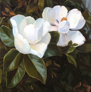 Con magnolias de Galicia &oacute; Tibet