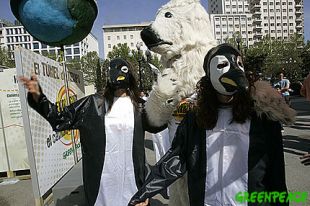 Greenpeace presenta "O t&uacute;nel do tempo" na Coru&ntilde;a