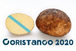 Unha asociaci&oacute;n internauta reclama uns xogos Ol&iacute;mpicos en Coristanco