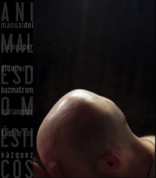 Disco de Marcos V&aacute;zquez