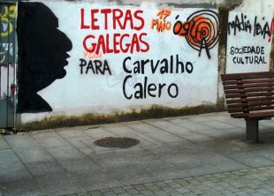 Unha pintada pide o reco&ntilde;ecemento de Carvalho Calero