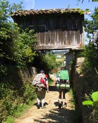 O Concello d'O Pino &eacute; o que m&aacute;is quil&oacute;metros ten de Cami&ntilde;o de Santiago