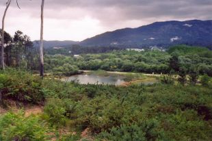 O humedal en 2003, a&iacute;nda inclu&iacute;do na Rede Natura europea