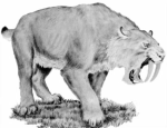 Mesmo o tigre dentes de sabre, habitual de filmes ou c&oacute;mics, poder&iacute;a ser recuper&aacute;bel