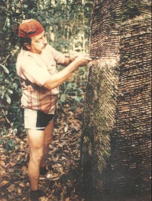 Chico Mendes, en 1975, recollendo 'l&aacute;grimas da Amaz&ocirc;nia'