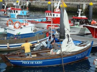 Catro dos barcos que xa chegaron a Muros para a edici&oacute;n deste ano