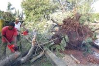 En Cuba xa deron comezo os labores de recuperaci&oacute;n