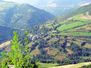 O solo rural poder&aacute; clasificarse como hist&oacute;rico, consolidado, non consolidado ou complexo.
