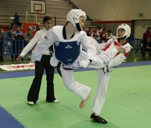 Esta nova fornada de taekwondistas ser&aacute; a encargada de dar continuidade no futuro ao gran momento do taekwondo galego