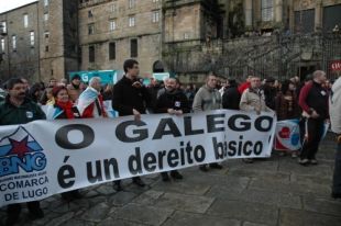 Estampas da concentraci&oacute;n de Queremos Galego na Praza do Obradoiro