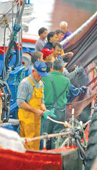 O posgrao ofrecer&aacute; contidos que van dende a xesti&oacute;n empresarial da industria pesqueira  at&eacute; biolox&iacute;a mari&ntilde;a