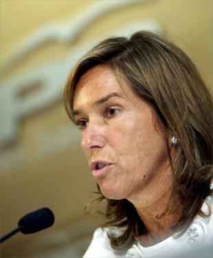 O PP acusa a Touri&ntilde;o de non arbitrar medidas que atallen a crise