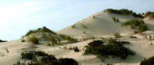 Dunas de Mira, onde Pescanova pretende constru&iacute;r a planta / Foto: Ant&oacute;nio Campos