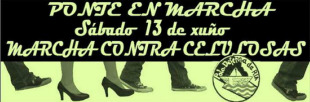 Convoca a marcha a Asociaci&oacute;n pola Defensa da R&iacute;a e s&uacute;manse diferentes colectivos