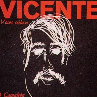 Capa dun &aacute;lbum de Vicente Araguas