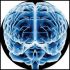 As innovaci&oacute;ns do ex&eacute;rcito pasan polo cerebro