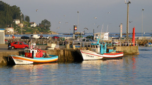 En Galiza o 87% das embarcaci&oacute;ns censadas son de baixura (un total de 4.549 barcos) Imaxe: porto de Bueu / Flickr:triat3d