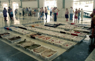 No 2002 a Consellar&iacute;a de Pesca promoveu a compra de caixas de pl&aacute;stico por parte das confrar&iacute;as