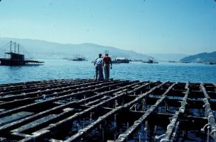 En Galiza, 1.200 embarcaci&oacute;ns ad&iacute;canse &aacute; acuicultura no sector bateeiro