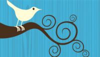 O Twitter, popular entre os pol&iacute;ticos