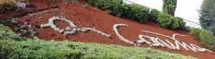 Destrozo no adorno floral co top&oacute;nimo deturpado