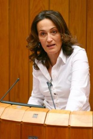 A futura Lei de Vivenda de Galiza est&aacute; a&iacute;nda en tr&aacute;mite (debaterase en decembro)