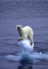 A ONU alerta que, malia a crise econ&oacute;mica, os efectos do cambio clim&aacute;tico seguen a notarse no planeta
