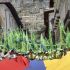 Partidarios do 'si', polas r&uacute;as de Quito