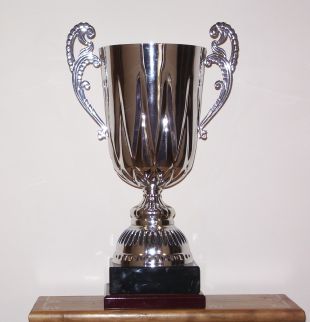 A copa en cuesti&oacute;n
