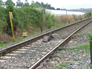 V&iacute;a do tren (Padr&oacute;n: Luis Miguel Bugallo)