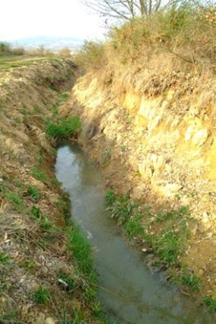 Contaminaci&oacute;n fluvial no r&iacute;o B&uacute;bal (Monterrei). Fonte: Amigos da Terra
