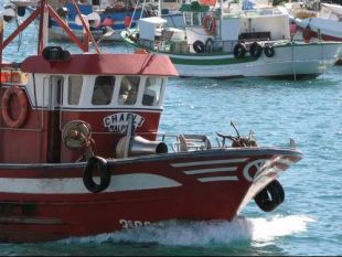 O ano pasado adic&aacute;ronse &aacute; captura da centola un total de 409 barcos galegos