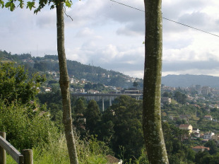 A Comunidade de Montes quere percibir un canon polos terreos para mellorar a xesti&oacute;n do monte