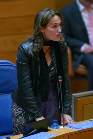 Teresa T&aacute;boas, durante a s&uacute;a comparecencia no Parlamento este martes