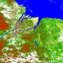 A Amazon&iacute;a &eacute; o maior bosque tropical do planeta e recibe o nome de "pulm&oacute;n do mundo"