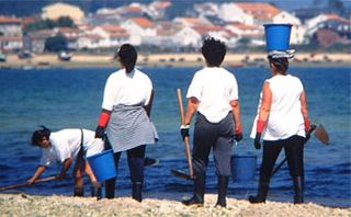 As mariscadoras non poden traballar cando as zonas superan certos niveis de contaminaci&oacute;n / Foto: FGC