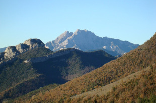 Imaxe do Parc Natural del Cad&iacute;-Moixer&oacute;, onde foi achado e exemplar