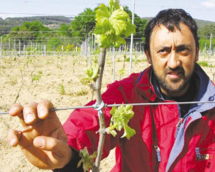 Xurxo &Aacute;lvarez presidir&aacute; a Federaci&oacute;n Rural Galega