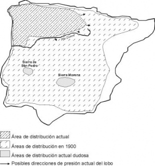 Distribuci&oacute;n do lobo na Pen&iacute;nsula Ib&eacute;rica