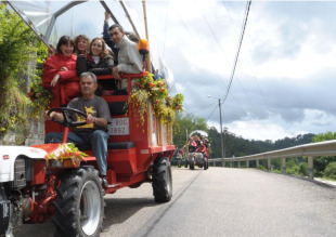 A organizaci&oacute;n cre que "o chimp&iacute;n &eacute; optativo"