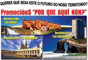 Campa&ntilde;a das asociaci&oacute;ns ecoloxistas galegas (clique para ampliar)