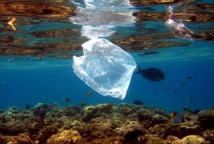 Bolsa de pl&aacute;stico no mar