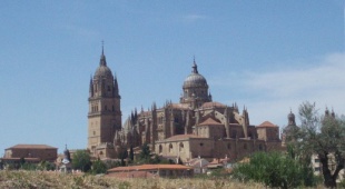 Catedral de Salamanca / Foto: Andr&eacute;s Milleiro