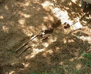Os primeiros restos que apareceron na Fonsagrada, o ver&aacute;n pasado, pertencentes a un membro do Batall&oacute;n Galicia
