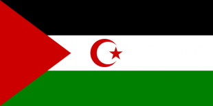 Bandeira saharau&iacute;