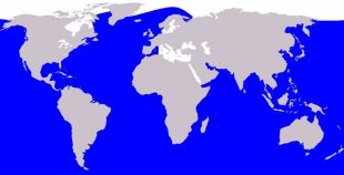 Distribuci&oacute;n do h&aacute;bitat destas baleas nos oc&eacute;anos do mundo
