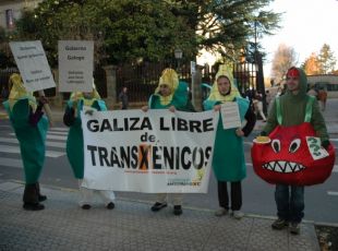 Membros da Plataforma Galega Antitransx&eacute;nicos, manifest&aacute;ndose &aacute;s portas do Parlamento