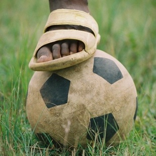 Os camarons xogan ao f&uacute;tbol dende ben cativos / Imaxe: http://www.llibrecamerun.com/