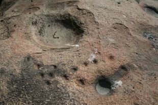 Unha imaxe en detalle dos pos&iacute;beis petr&oacute;glifos, debuxados como pequenas cazoletas no granito