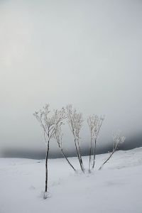A neve afecta as estradas do leste de Lugo, m&aacute;is tam&eacute;n no Deza e en Ver&iacute;n / Flickr:  julioeiroa